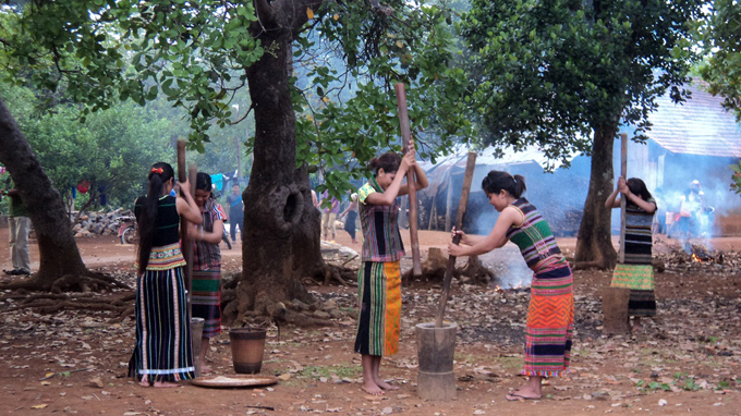 Thôn nữ người đồng bào Stiêng sóc Bom Bo giã gạo.